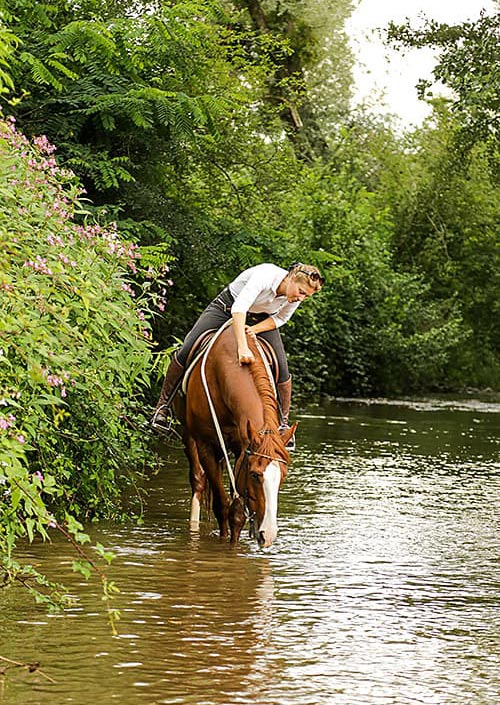 Balade randonnées à Cheval en Ariège